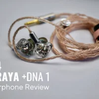 G4 ARAYA +DNA 1