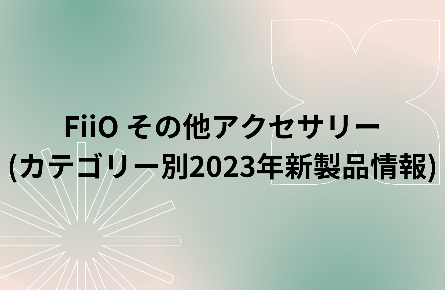 Fiio その他アクセサリー (カテゴリー別2023年新製品情報)